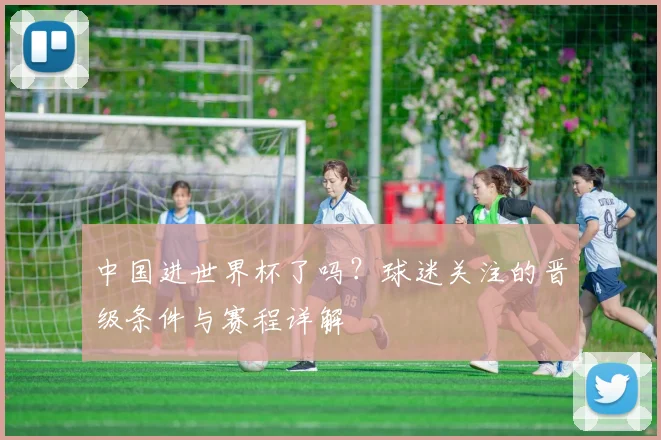 中国进世界杯了吗？球迷关注的晋级条件与赛程详解