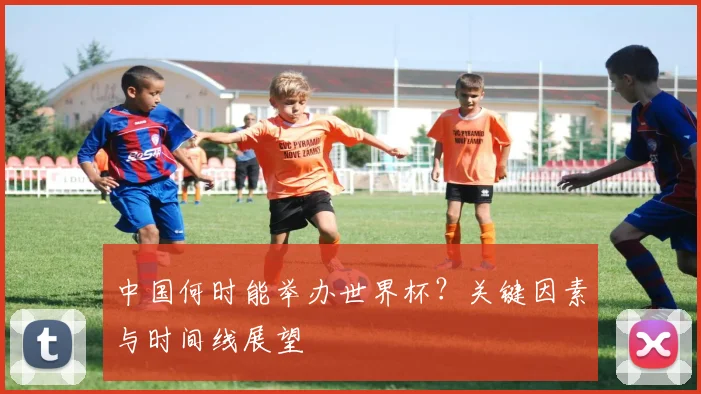 中国何时能举办世界杯?关键因素与时间线展望