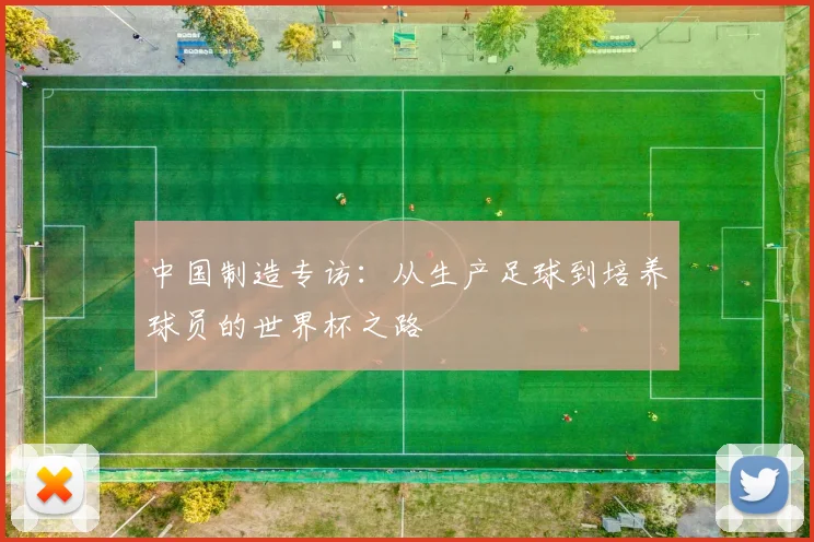中国制造专访:从生产足球到培养球员的世界杯之路