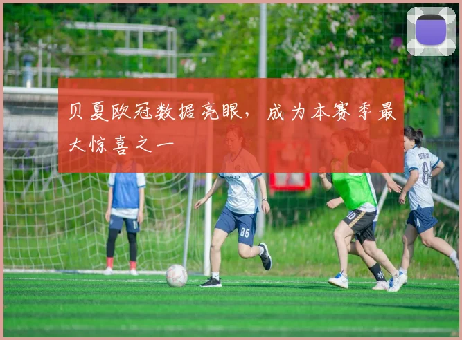 贝夏欧冠数据亮眼,成为本赛季最大惊喜之一